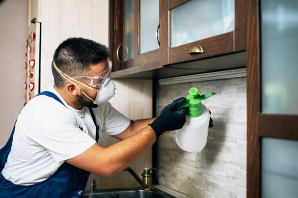 Best Ant Control Services  in Commercial Point, OH