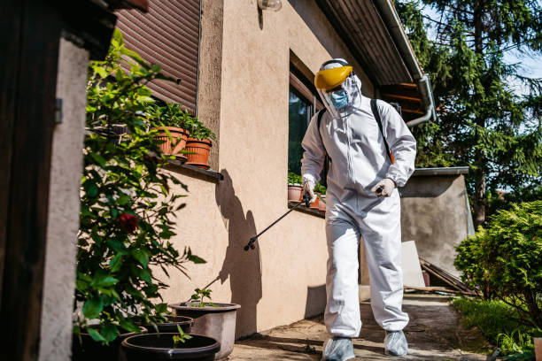 Best Pest Prevention Services  in Commercial Point, OH