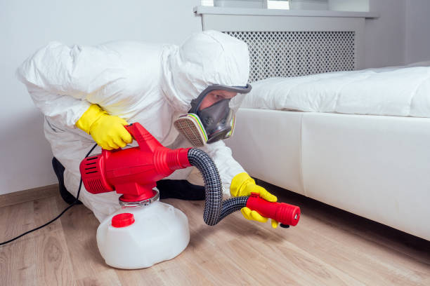 Best Local Pest Control Services  in Commercial Point, OH