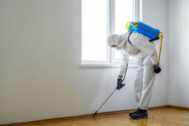 Best Pest Prevention Services  in Commercial Point, OH