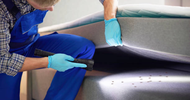 Wasp Removal Services in Commercial Point, OH