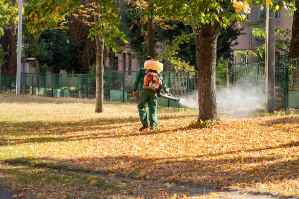 Best Best Pest Control Companies  in Commercial Point, OH