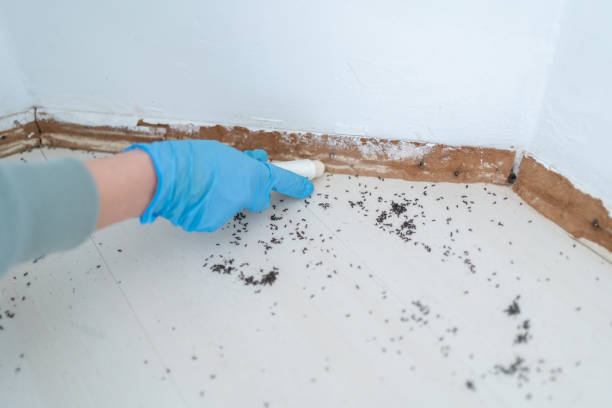 Best Pest Removal Services  in Commercial Point, OH
